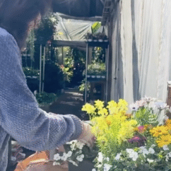 Feeling like your space could use a little lift?