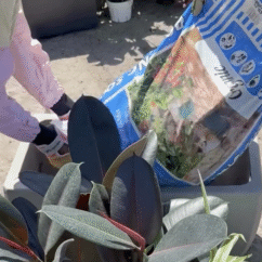 Sometimes the simplest design makes the biggest shift.